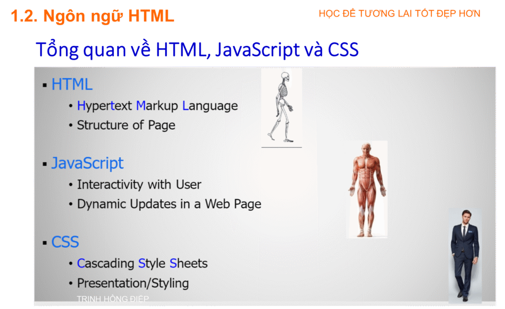 Ngôn ngữ HTML image